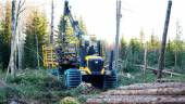 Forwarder / Vyva EcoLog 574F